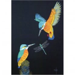 Colcards Kingfishers Greetings Cards
