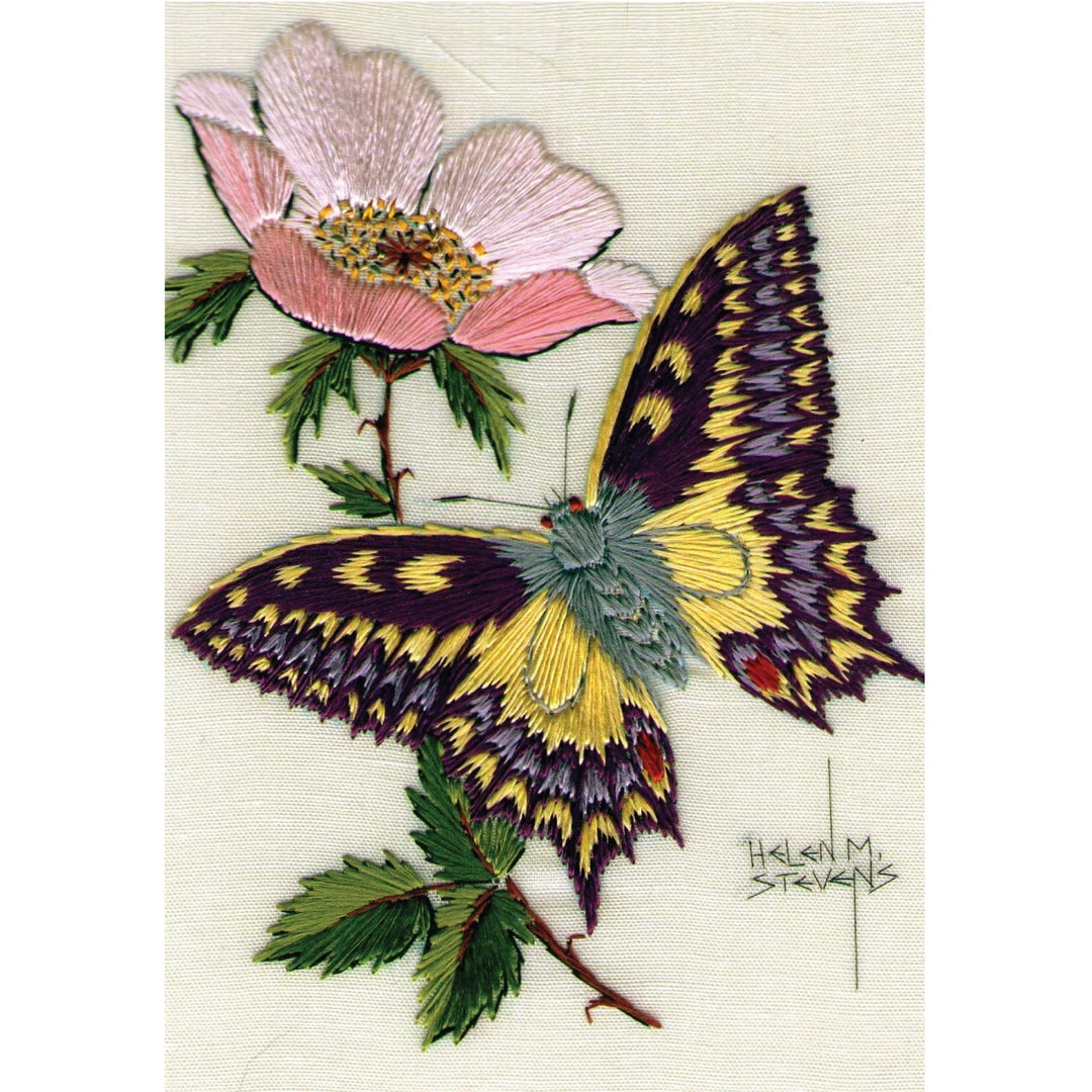 Colcards Butterfly Greetings Cards 3 Colcards Butterfly Greetings Cards
