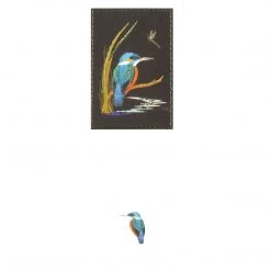 Colcards Greetings Cards Kingfisher