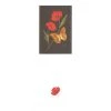 Colcards Greetings Cards Fritillary Butterfly And Poppies