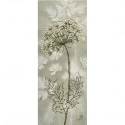 Colcards Cow Parsley By Jo Butcher Greetings Cards