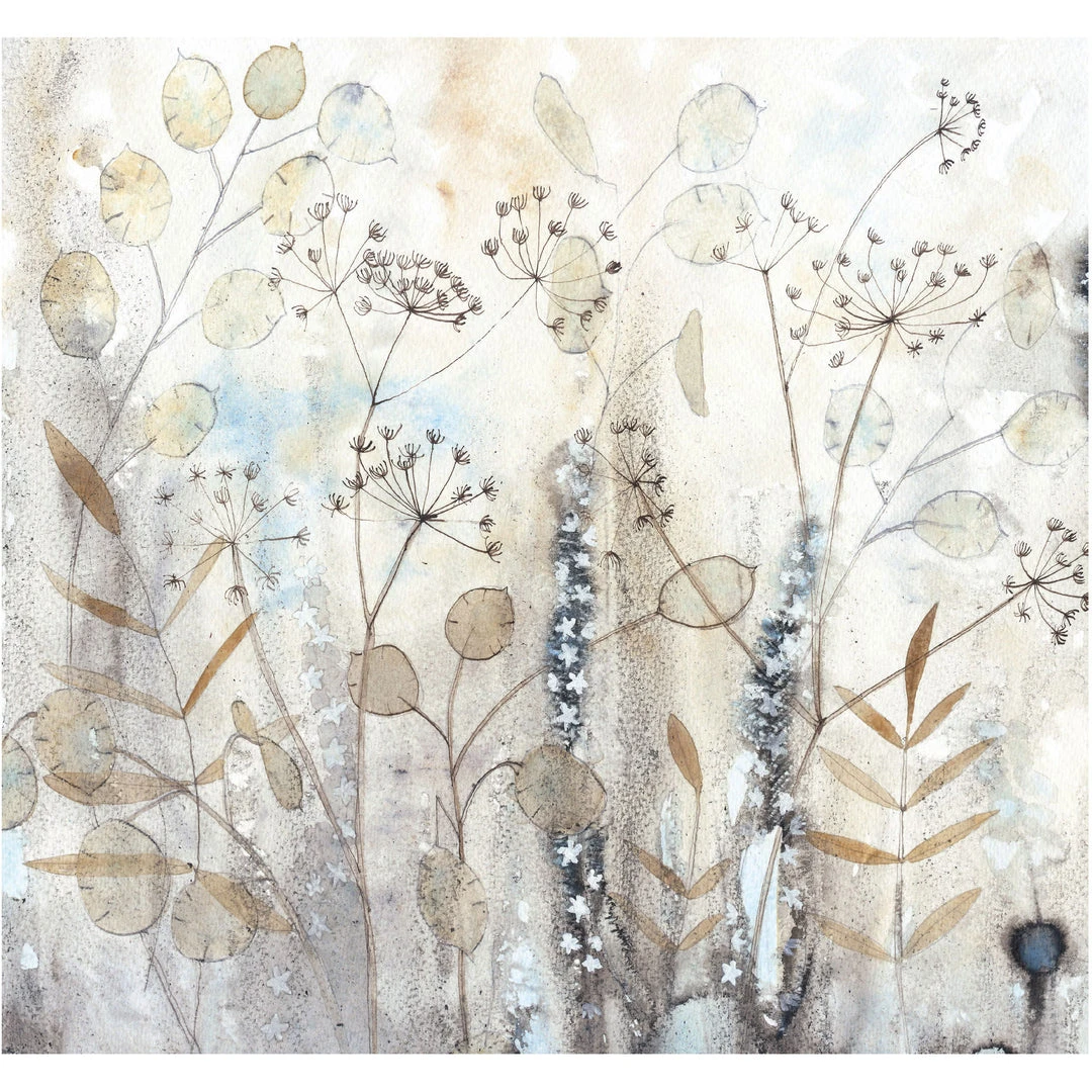 Colcards Honesty Greetings Cards 3 Colcards Honesty Greetings Cards